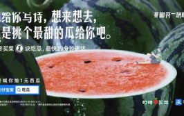 吃瓜文案娱乐圈,揭秘明星幕后故事