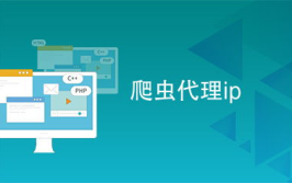 ip在线代理,隐私保护、突破限制与高效访问之道
