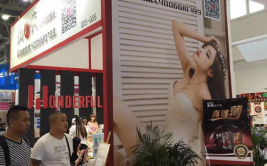成人用品展,探索行业新趋势与市场机遇”