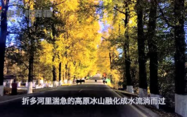 娱乐吃瓜君5,揭秘娱乐圈最新热点，带你领略明星幕后故事