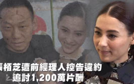 娱乐剪辑吃瓜,吃瓜群众深度解析热门剪辑事件