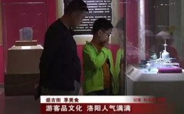 洛阳电视台一套直播,精彩节目轮番上演，文化盛宴等你来享